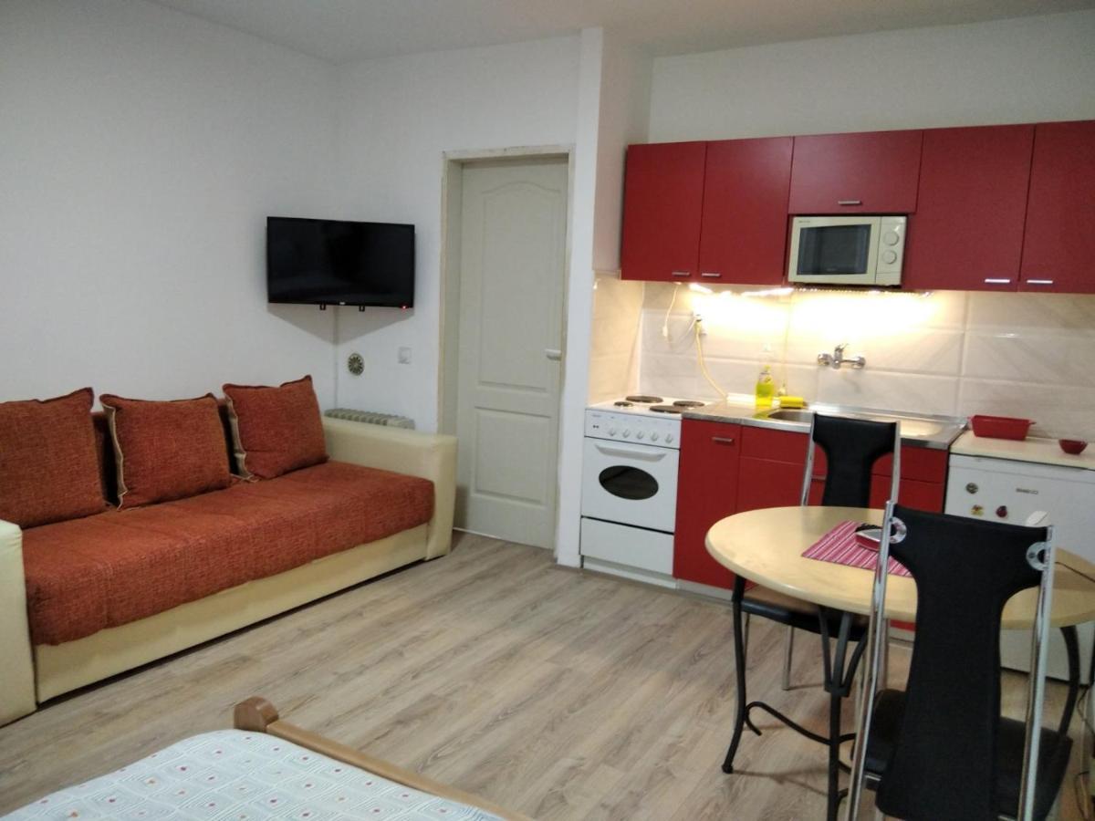 Apartman 4 - Studio Janja Sokobanja Exterior foto