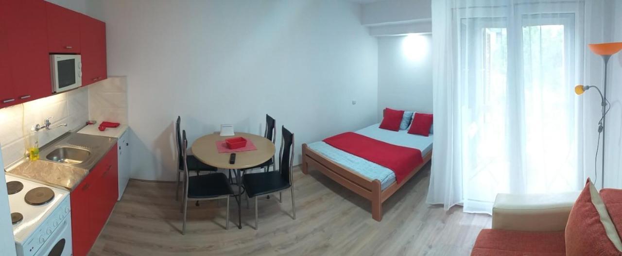 Apartman 4 - Studio Janja Sokobanja Exterior foto