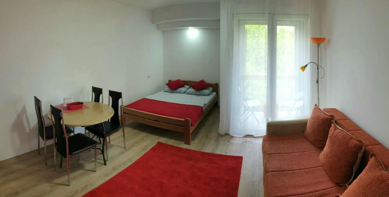 Apartman 4 - Studio Janja Sokobanja Exterior foto